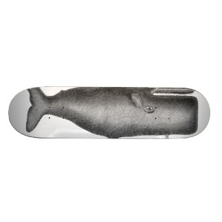 walvis persoonlijk skateboard