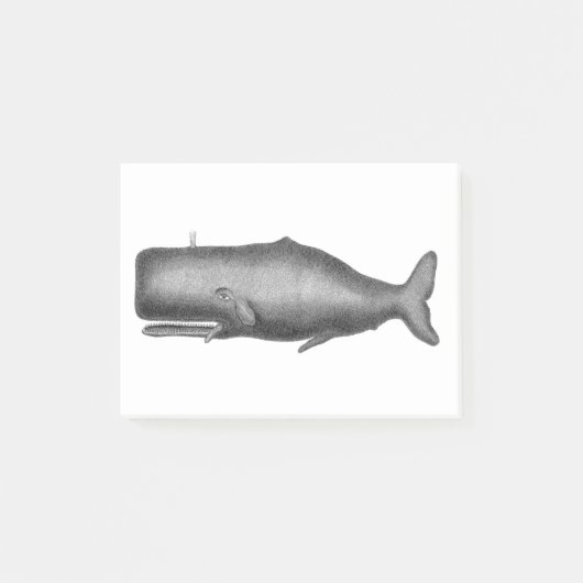 walvis post-it® notes (Voorkant)