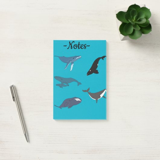 Walvis Post-it® Notes (Kantoor)