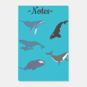 Walvis Post-it® Notes (Voorkant)