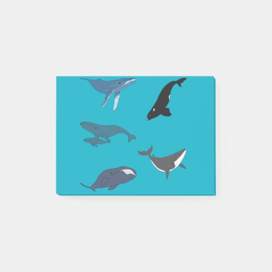 Walvis Post-it® Notes (Voorkant)
