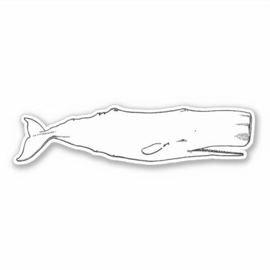 walvis sticker (Voorkant)