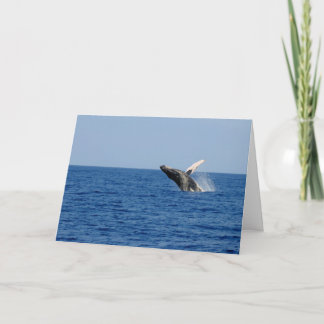 Walvis van een Tijd Kaart