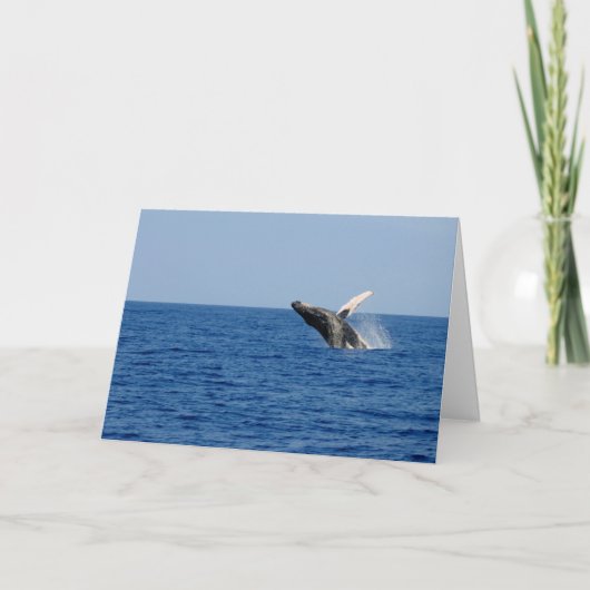 Walvis van een Tijd Kaart (Voorkant)