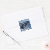 walvis vierkante sticker (Envelop)
