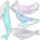 Walvis Walvis Walvis... Walvis Stickers (Voorkant)