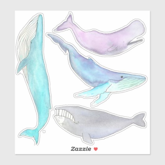 Walvis Walvis Walvis... Walvis Stickers (Vel)