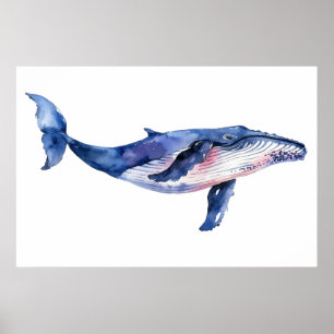 Walvis Waterverf Poster