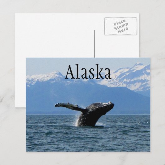 walvisafspeeltijd; Alaska Briefkaart (Voorkant / Achterkant)