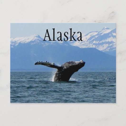 walvisafspeeltijd; Alaska Briefkaart (Voorkant)
