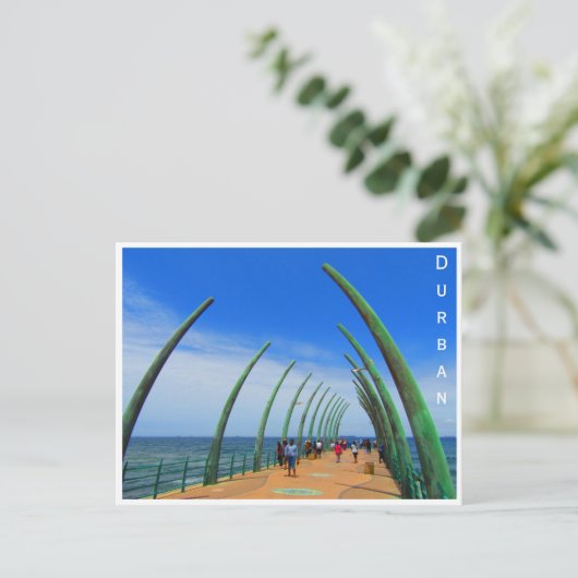 walvisbaars durban briefkaart (Staand voorkant)