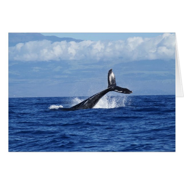 Walvisduik in de oceaan, Bot, uit het water staart (Voorkant Horizontaal)