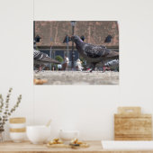 Walvisduiven Poster (Keuken)