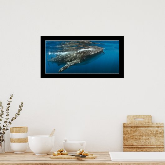 Walvishaai #7 poster (Keuken)