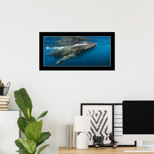 Walvishaai #7 poster (Thuiskantoor)