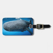 Walvishaai Bagagelabel (Voorkant horizontaal)