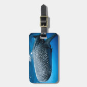 Walvishaai Bagagelabel (Voorkant verticaal)