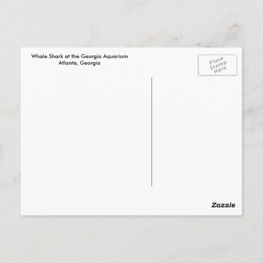 Walvishaai Briefkaart (Achterkant)