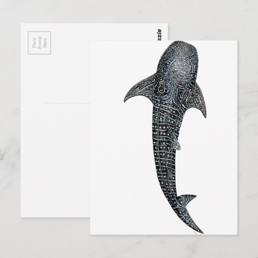 Walvishaai Briefkaart (Voorkant / Achterkant)