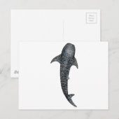 Walvishaai Briefkaart (Voorkant / Achterkant)