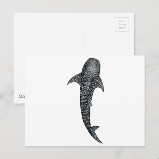 Walvishaai Briefkaart (Voorkant / Achterkant)