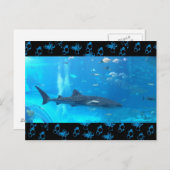 walvishaai briefkaart (Voorkant / Achterkant)