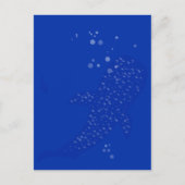 Walvishaai Briefkaart (Voorkant)