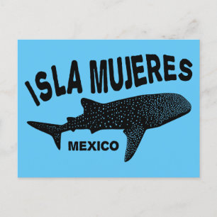 Walvishaai duiken   Isla Mujeres Briefkaart
