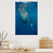 Walvishaai en vis poster (Keuken)