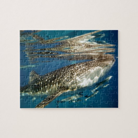Walvishaai en zuigvis legpuzzel (Horizontaal)
