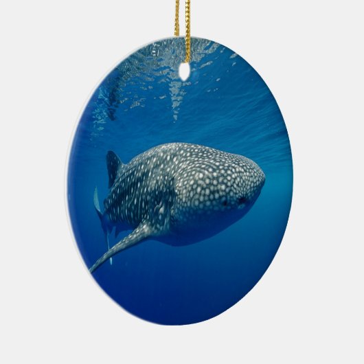 Walvishaai Keramisch Ornament (Rechts)