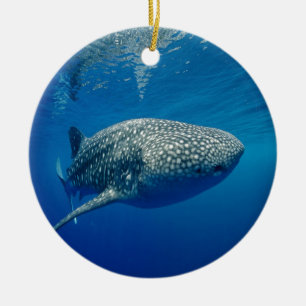 Walvishaai Keramisch Ornament