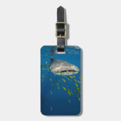 Walvishaai met vis, Indonesië Bagagelabel (Voorkant verticaal)