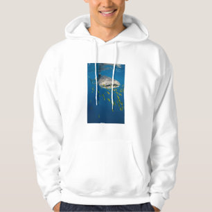 Walvishaai met vis, Indonesië Hoodie