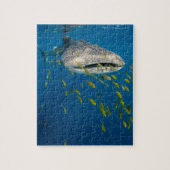 Walvishaai met vis, Indonesië Legpuzzel (Verticaal)