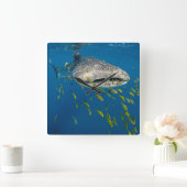 Walvishaai met vis, Indonesië Vierkante Klok (Huis)