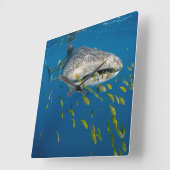 Walvishaai met vis, Indonesië Vierkante Klok (Hoek)