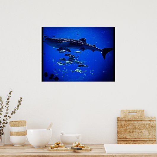 Walvishaai Poster (Keuken)