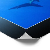 Walvishaai Poster (Hoek)