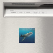 Walvishaai Zwemmen Magneet (Insitu (Vaatwasser))
