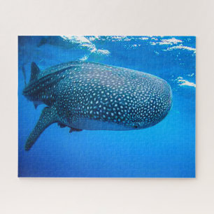 Walvishaaien Legpuzzel