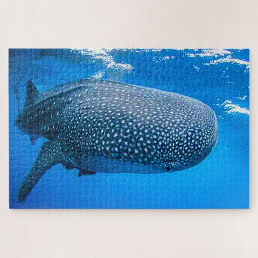 Walvishaaien Legpuzzel (Horizontaal)