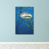 Walvishaak met vissen, Indonesië Canvas Afdruk (Insitu (Houten vloer))