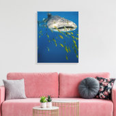 Walvishaak met vissen, Indonesië Canvas Afdruk (Insitu (Woonkamer))