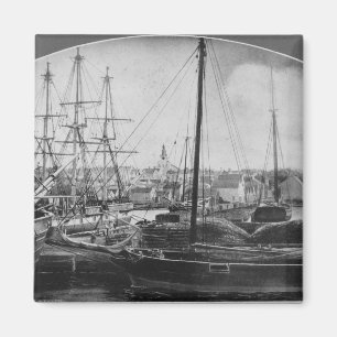 Walvishaven, New Bedford Magneet