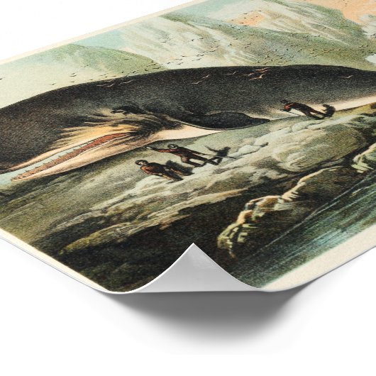  walvisillustratie poster (Hoek)