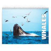 Walviskalender voor walvissen kalender (Hoes)