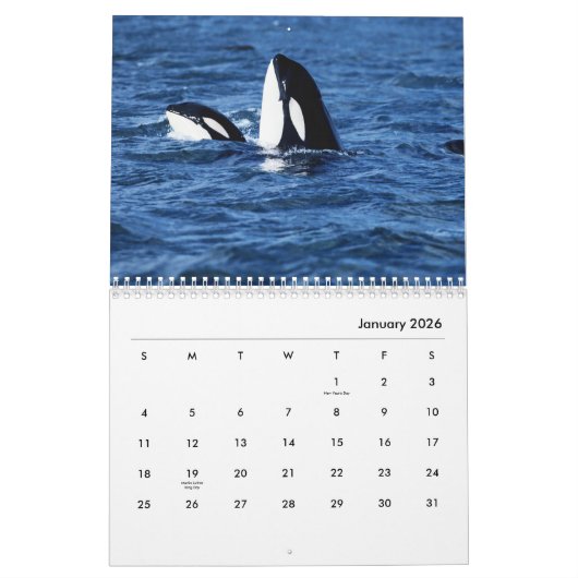 Walviskalender voor walvissen kalender (Jan 2026)