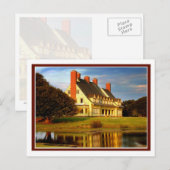 Walviskop gereflecteerd briefkaart (Voorkant / Achterkant)