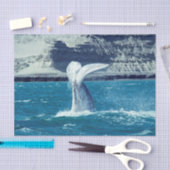 Walviskuitstaart - Argentinië Briefkaart Tissuepapier (Craft)